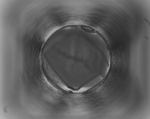 X0000100311382200806261152