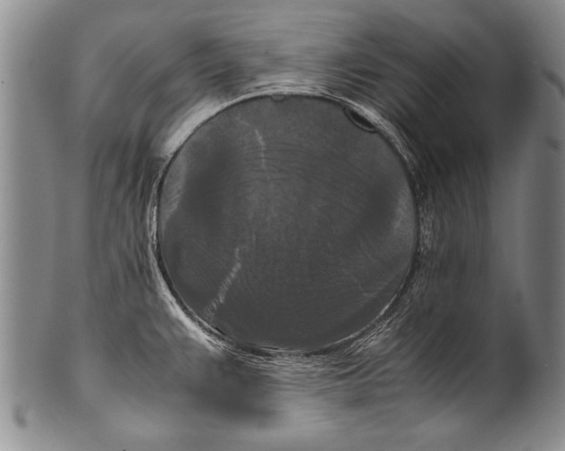 X0000100311383200806261152