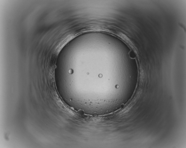 X0000100311385200806261152