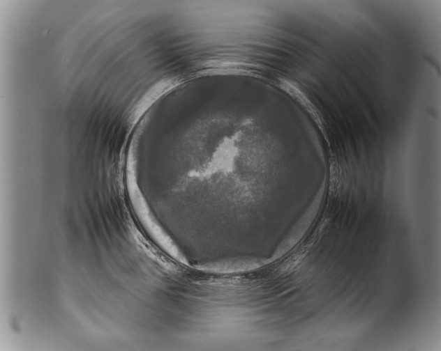 X0000100311386200806261152