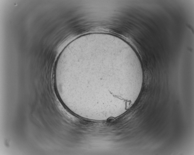 X0000100311387200806261152