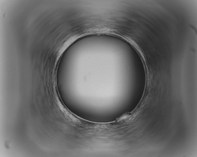 X0000100311389200806261152