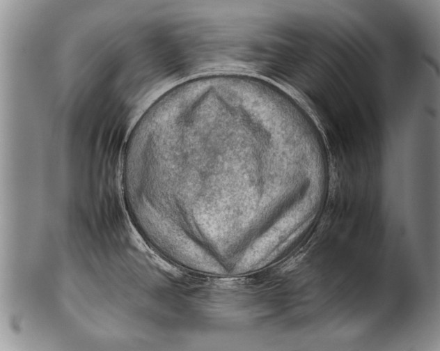 X0000100311390200806261152