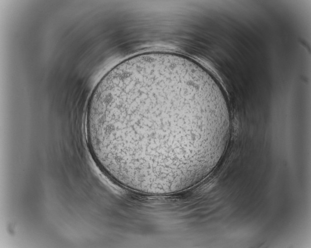 X0000100311391200806261152