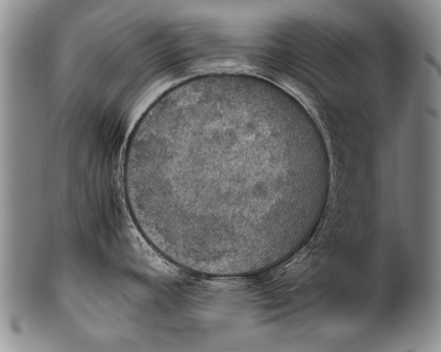 X0000100311392200806261152