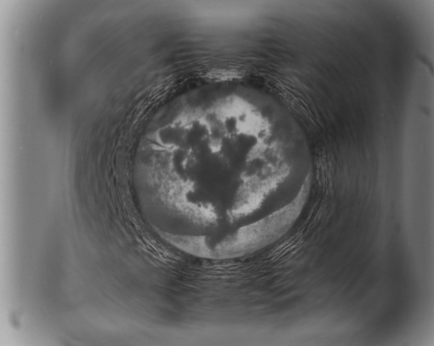 X0000100311393200806261151