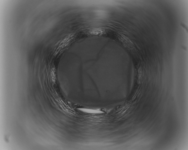 X0000100311394200806261151