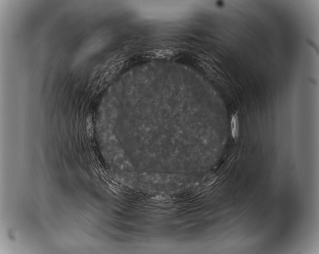 X0000100311395200806261151