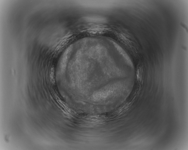 X0000100311396200806261151