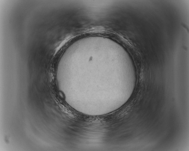 X0000100311400200806261151