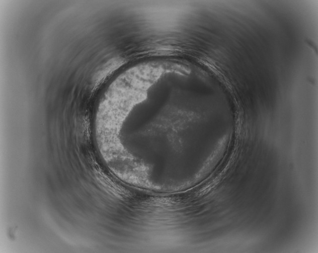 X0000100311402200806261151