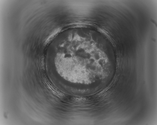 X0000100311403200806261151