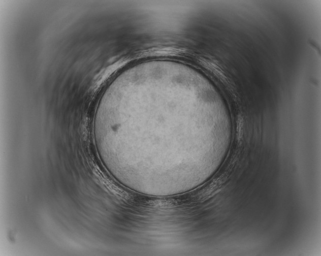 X0000100311404200806261151