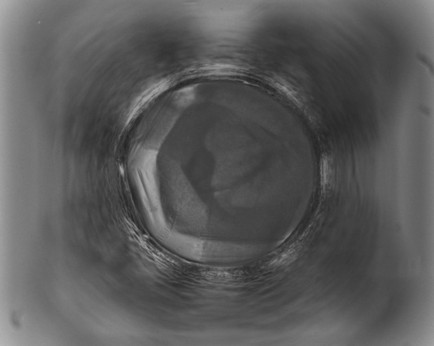 X0000100311405200806261151