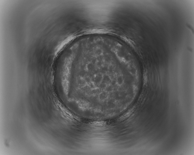 X0000100311406200806261151