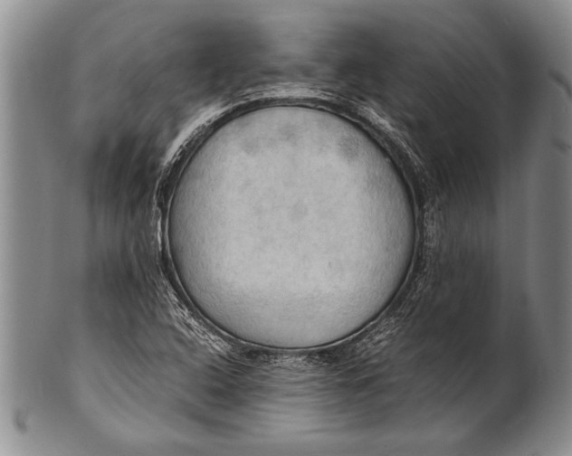 X0000100311408200806261151