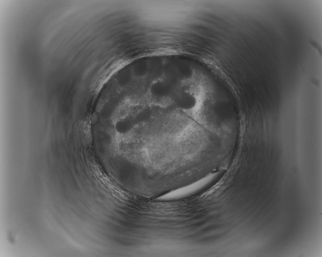 X0000100311409200806261151