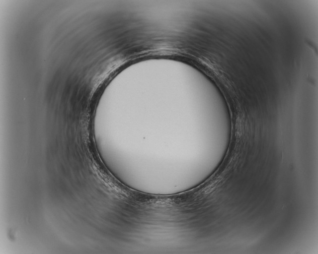 X0000100311410200806261151