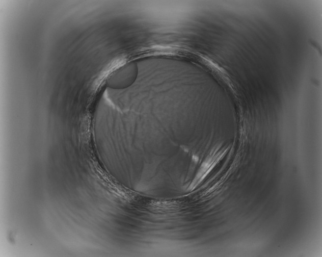 X0000100311411200806261151