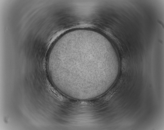 X0000100311412200806261151