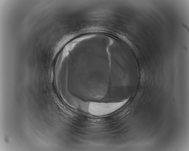 X0000100311413200806261151