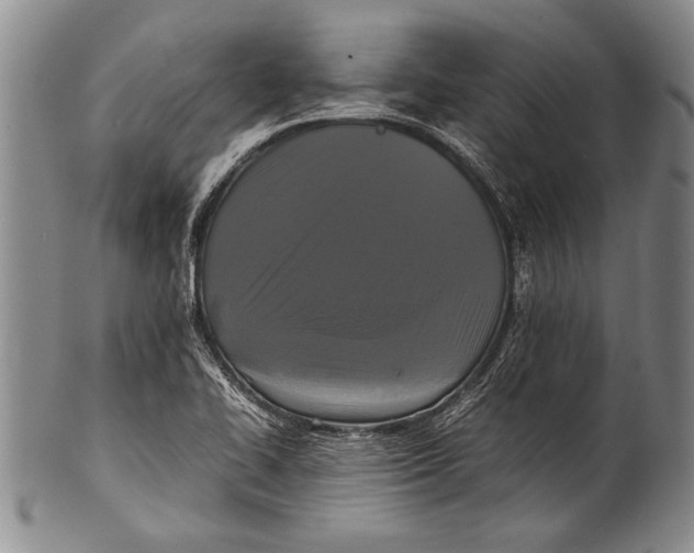 X0000100311414200806261151