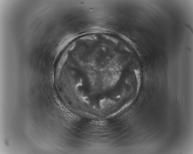 X0000100311415200806261151