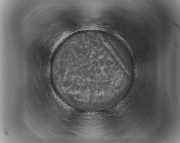 X0000100311416200806261151