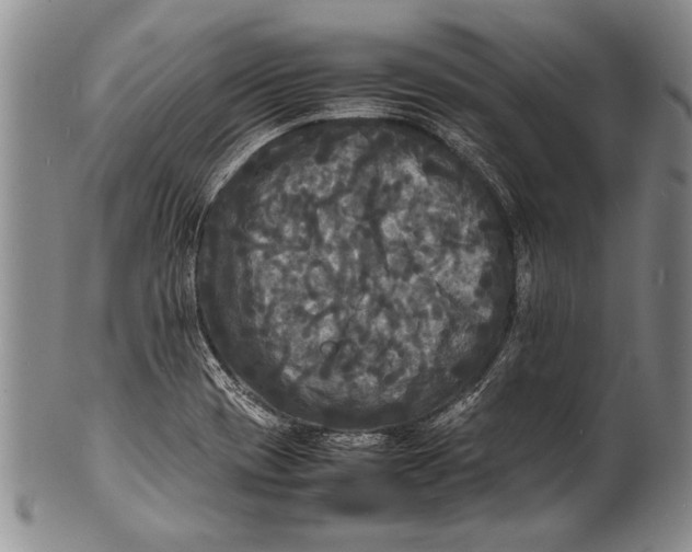 X0000100311417200806261151