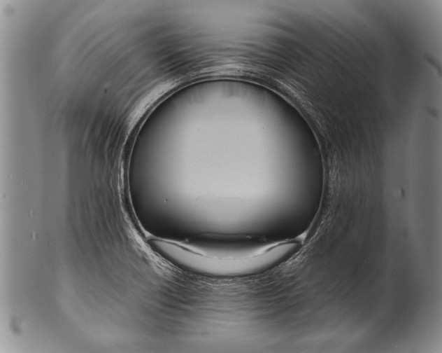 X0000100311418200806261151