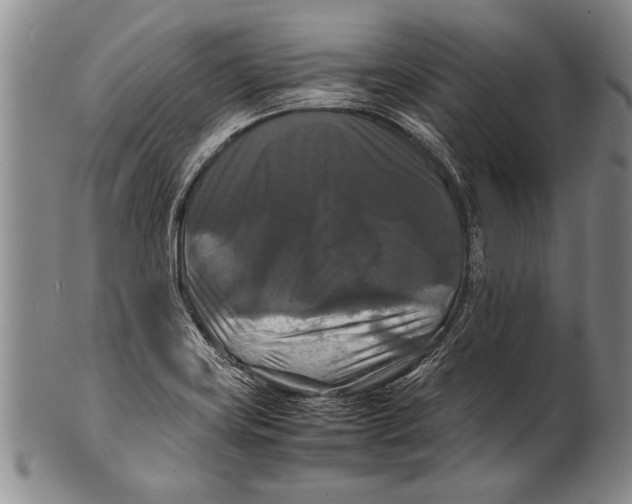 X0000100311419200806261151