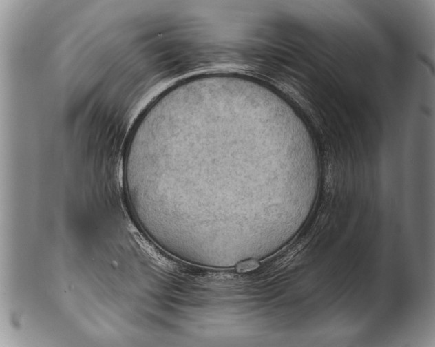 X0000100311420200806261151