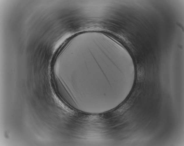 X0000100311422200806261152