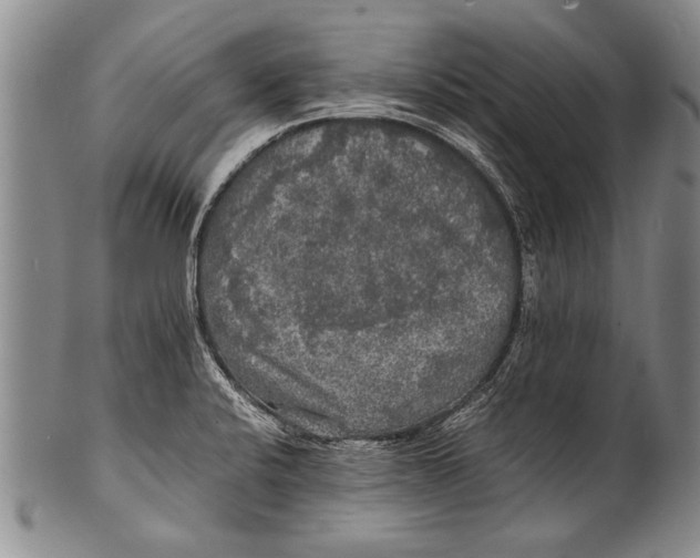 X0000100311424200806261152