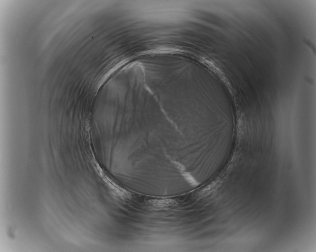 X0000100311425200806261152