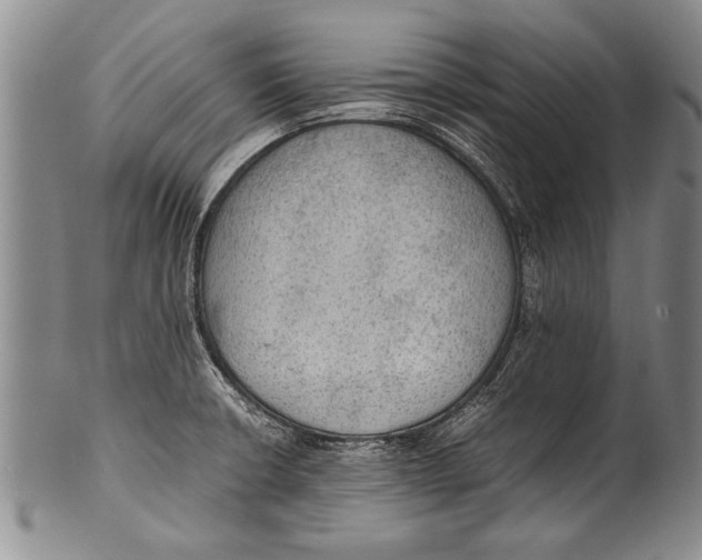 X0000100311426200806261152