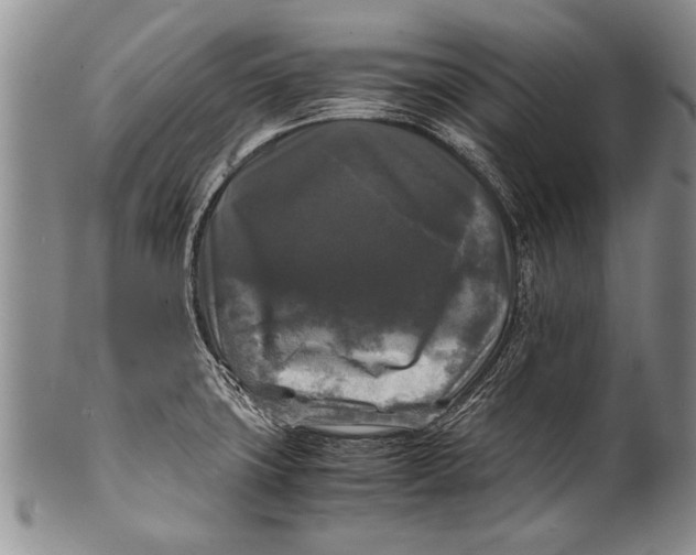 X0000100311427200806261152