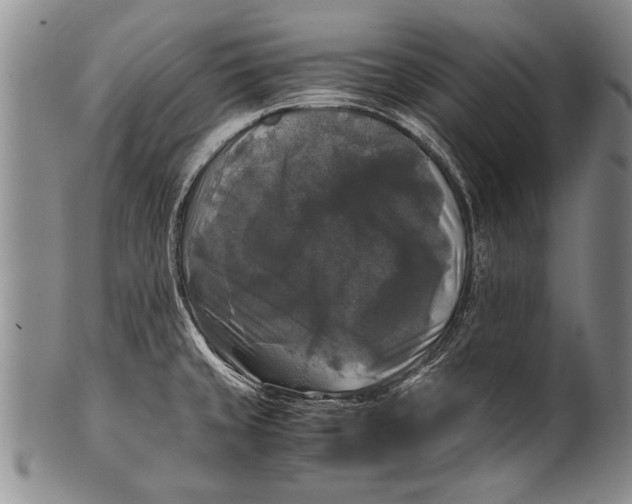 X0000100311429200806261152