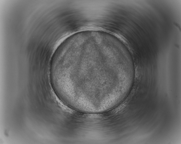 X0000100311430200806261152