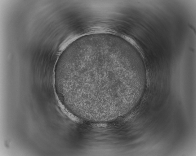 X0000100311431200806261152