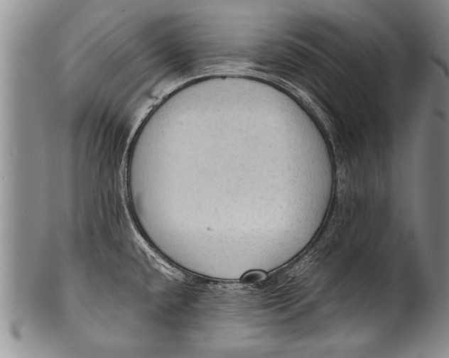 X0000100311432200806261152