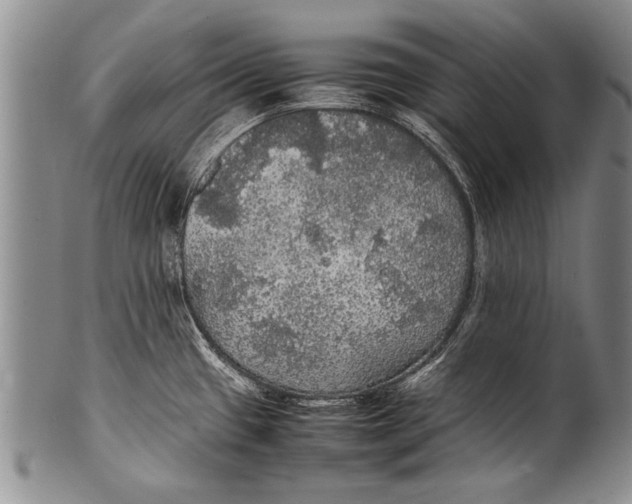 X0000100311433200806261152