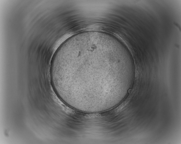 X0000100311434200806261152