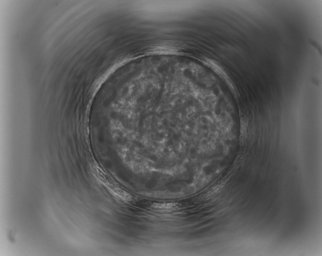 X0000100311435200806261152