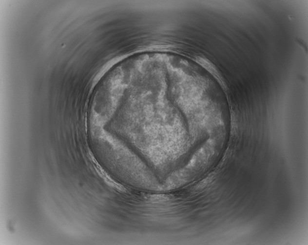 X0000100311436200806261152