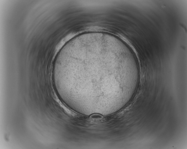 X0000100311437200806261152