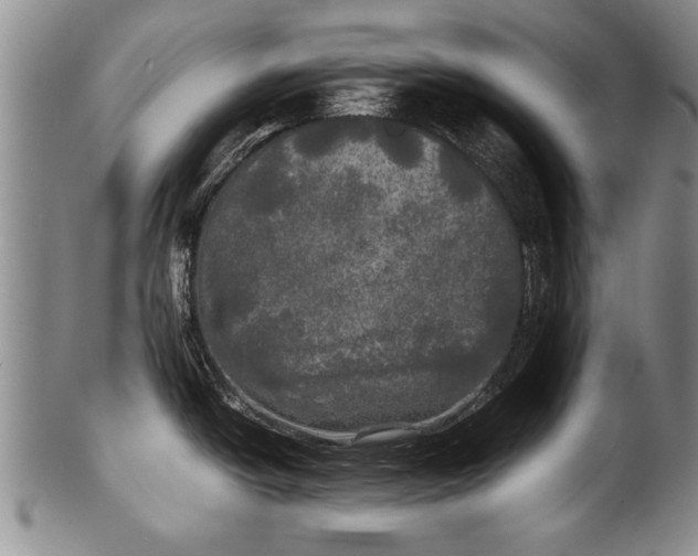 X0000100311438200806261152