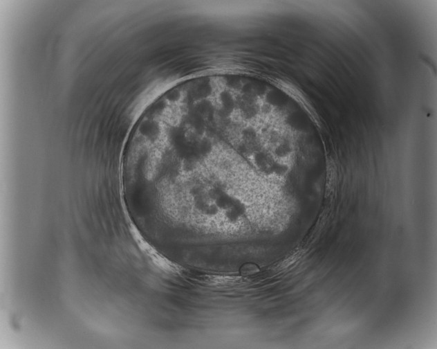 X0000100311439200806261152