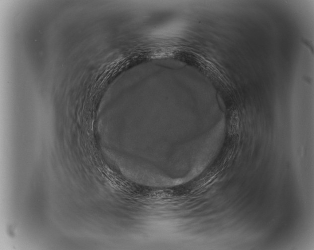 X0000100311441200806261151