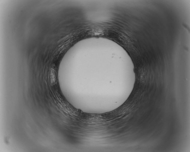 X0000100311442200806261151